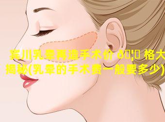 宾川乳晕再造手术价 🦉 格大揭秘(乳晕的手术费一般要多少)